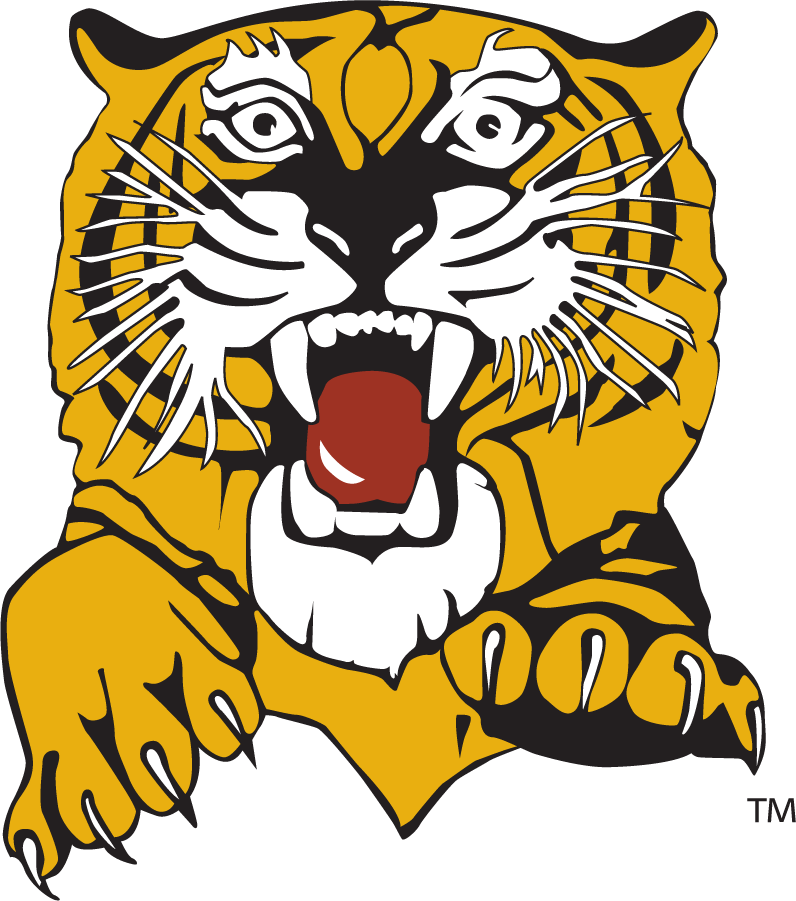 Missouri Tigers 1977-1995 Secondary Logo iron on transfers for T-shirts
